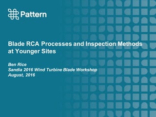 Blade RCA Processes and Inspection Methods
at Younger Sites
Ben Rice
Sandia 2016 Wind Turbine Blade Workshop
August, 2016
 