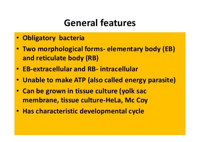 anatomical differences between bacillus escherichia and mycoplasma Differences between the two 16s rrna gene methods highlight the importance of the size and breadth of the database for successful classification difficulties separating e. anatomical differences between bacillus escherichia and mycoplasma Differences between the two 16s rrna gene methods highlight the importance of the size and breadth of the database for successful classification difficulties separating e.