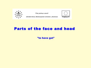Parts of the face and head &quot;to have got&quot;  