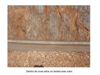 Dentro de unos años no tendrá este color.
 