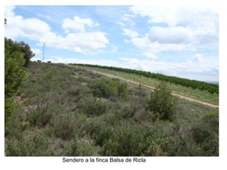 Sendero a la finca Balsa de Ricla
 