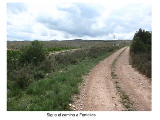 Sigue el camino a Fontellas
 