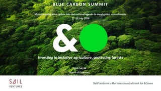 Sail Ventures is the investment advisor for &Green
FELIA SALIM
Board of Directors
BLUE CARBON SUMMIT
Mainstreaming blue carbon into the national agenda to meet global commitments
17 -18 July 2018
Investing in inclusive agriculture, protecting forests
 