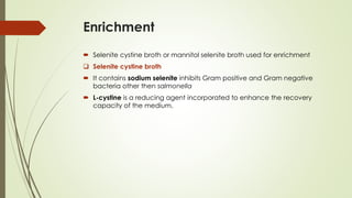 Enrichment
 Selenite cystine broth or mannitol selenite broth used for enrichment
❑ Selenite cystine broth
 It contains sodium selenite inhibits Gram positive and Gram negative
bacteria other then salmonella
 L-cystine is a reducing agent incorporated to enhance the recovery
capacity of the medium.
 