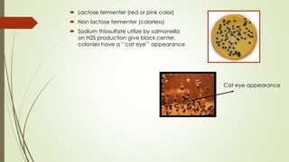  Lactose fermenter (red or pink color)
 Non lactose fermenter (colorless)
 Sodium thiosulfate utilize by salmonella
on H2S production give black center,
colonies have a ‘’cat eye’’ appearance
Cat eye appearance
 