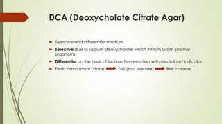 DCA (Deoxycholate Citrate Agar)
 Selective and differential medium
 Selective due to sodium deoxycholate which inhibits Gram positive
organisms
 Differential on the basis of lactose fermentation with neutral red indicator
 Ferric ammonium citrate FeS (iron suphide) Black center
 