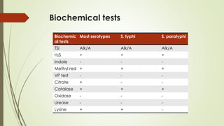 Biochemical tests
Biochemic
al tests
Most serotypes S. typhi S. paratyphi
TSI Alk/A Alk/A Alk/A
H2S + + +
Indole - - -
Methyl red + + +
VP test - - -
Citrate + - -
Catalase + + +
Oxidase - - -
Urease - - -
Lysine + + -
 