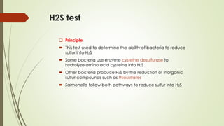 H2S test
❑ Principle
 This test used to determine the ability of bacteria to reduce
sulfur into H2S
 Some bacteria use enzyme cysteine desulfurase to
hydrolyze amino acid cysteine into H2S
 Other bacteria produce H2S by the reduction of inorganic
sulfur compounds such as thiosulfates
 Salmonella follow both pathways to reduce sulfur into H2S
 