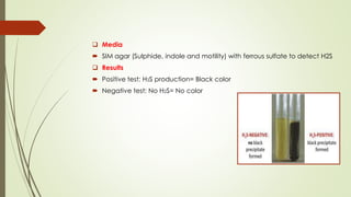 ❑ Media
 SIM agar (Sulphide, indole and motility) with ferrous sulfate to detect H2S
❑ Results
 Positive test: H2S production= Black color
 Negative test: No H2S= No color
 