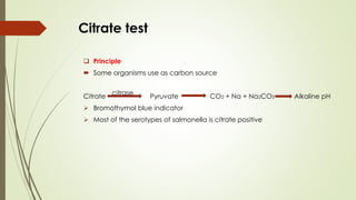 Citrate test
❑ Principle
 Some organisms use as carbon source
Citrate Pyruvate CO2 + Na + Na2CO3 Alkaline pH
➢ Bromothymol blue indicator
➢ Most of the serotypes of salmonella is citrate positive
citrase
 