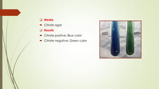 ❑ Media
 Citrate agar
❑ Results
 Citrate positive: Blue color
 Citrate negative: Green color
 
