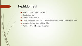Typhidot test
 Immunochromatographic test
 Qualitative test
 Consist of dot ELISA kit
 Detects IgM and IgG antibodies against outer membrane protein (OMP)
 Impregnated on nitrocellulose strips
 Positive within 2-3 days of infection
 