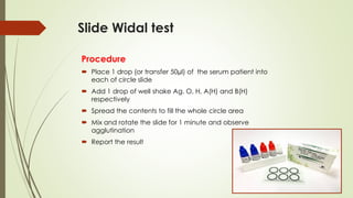 Slide Widal test
Procedure
 Place 1 drop (or transfer 50µl) of the serum patient into
each of circle slide
 Add 1 drop of well shake Ag. O, H, A(H) and B(H)
respectively
 Spread the contents to fill the whole circle area
 Mix and rotate the slide for 1 minute and observe
agglutination
 Report the result
 