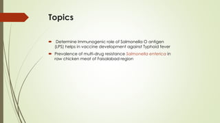 Topics
 Determine Immunogenic role of Salmonella O antigen
(LPS) helps in vaccine development against Typhoid fever
 Prevalence of multi-drug resistance Salmonella enterica in
raw chicken meat of Faisalabad region
 