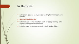 In Humans
 Salmonella caused nontyphoidal and typhoidal infections in
humans
➢ Non typhoidal infection
 Self-limiting zoonotic infections such as food poisoning after
ingestion of contaminated foods
 Infection rate is more common in infants and children.
 