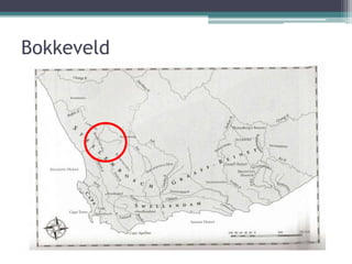 Bokkeveld
 