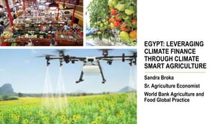 EGYPT: LEVERAGING
CLIMATE FINANCE
THROUGH CLIMATE
SMART AGRICULTURE
Sandra Broka
Sr. Agriculture Economist
World Bank Agriculture and
Food Global Practice
 