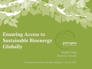 Ensuring Access to
Sustainable Bioenergy
Globally
Meghan Sapp
Secretary General
European Parliament| Brussels, Belgium | 24 June 2013
 