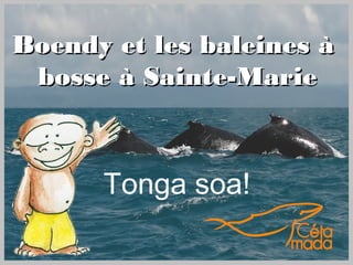Boendy et les baleines à
 bosse à Sainte-Marie



      Tonga soa!
 