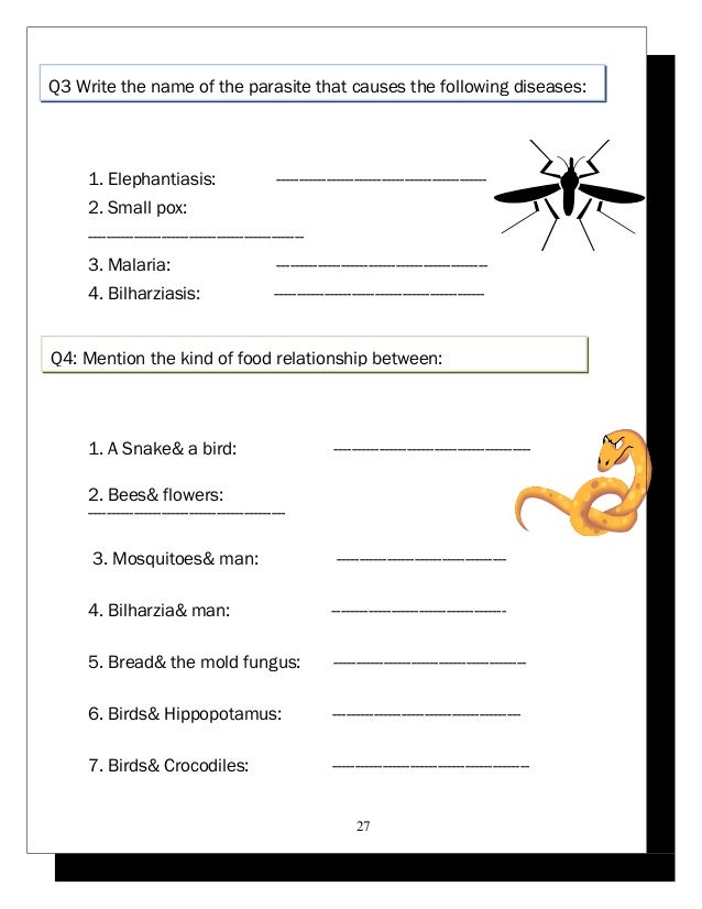 2 science worksheets p5 2015