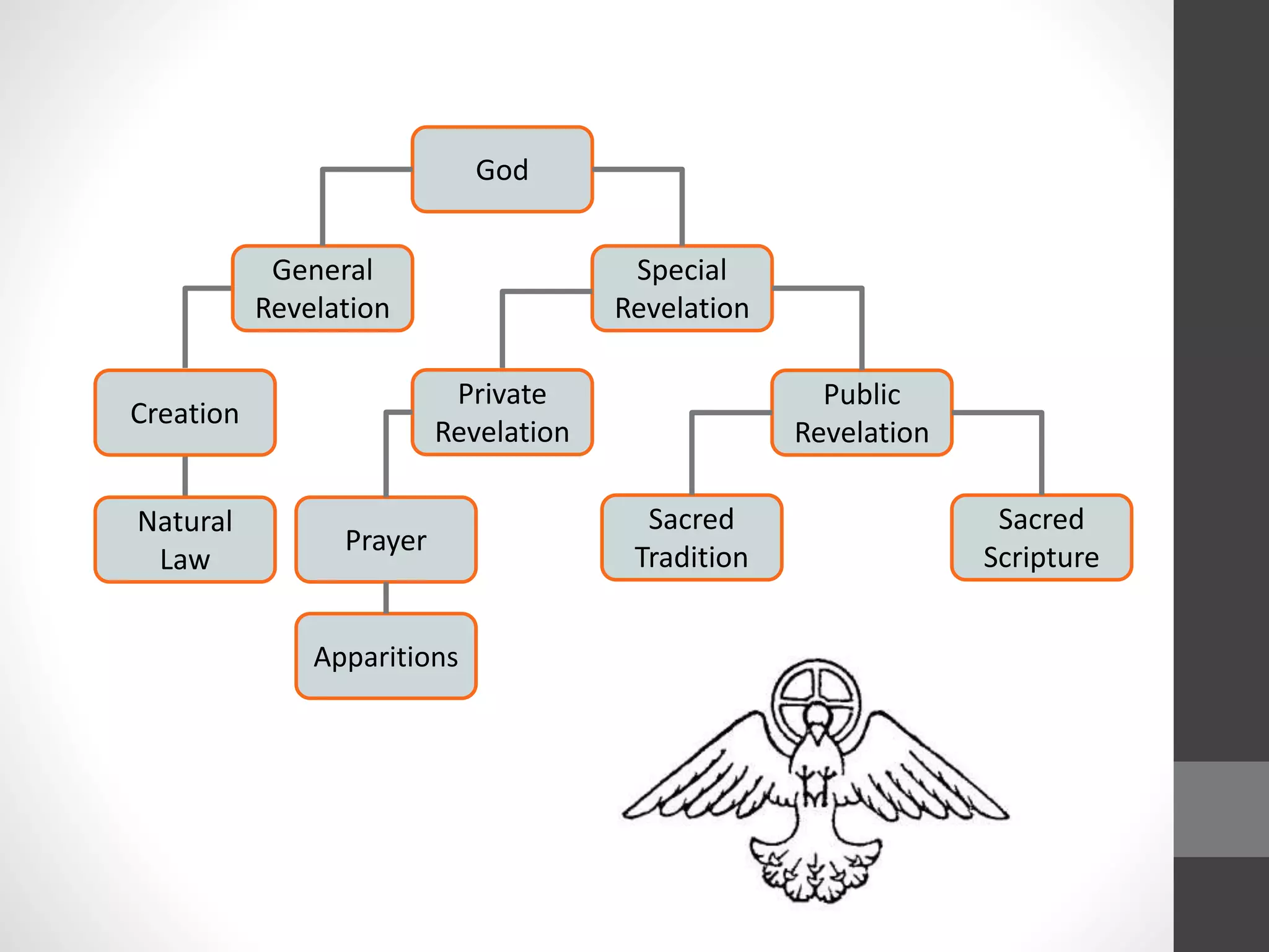 God 
Special 
Revelation 
General 
Revelation 
Sacred 
Scripture 
Creation 
Natural 
Law 
Sacred 
Tradition 
Prayer 
Apparitions 
Public 
Revelation 
Private 
Revelation 
 