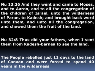 Nu 13:26 And they went and came to Moses, 
and to Aaron, and to all the congregation of 
the children of Israel, unto the wilderness 
of Paran, to Kadesh; and brought back word 
unto them, and unto all the congregation, 
and shewed them the fruit of the land. 
Nu 32:8 Thus did your fathers, when I sent 
them from Kadesh-barnea to see the land. 
The People rebelled just 11 days to the land 
of Canaan and were forced to spend 40 
years in the wilderness 
 