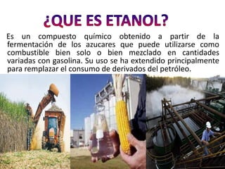 Es un compuesto químico obtenido a partir de la
fermentación de los azucares que puede utilizarse como
combustible bien solo o bien mezclado en cantidades
variadas con gasolina. Su uso se ha extendido principalmente
para remplazar el consumo de derivados del petróleo.
 