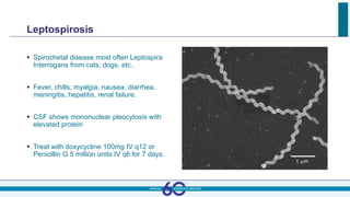 Leptospirosis
 Spirochetal disease most often Leptospira
Interrogans from cats, dogs, etc.
 Fever, chills, myalgia, nausea, diarrhea,
meningitis, hepatitis, renal failure.
 CSF shows mononuclear pleocytosis with
elevated protein
 Treat with doxycycline 100mg IV q12 or
Penicillin G 5 million units IV q6 for 7 days.
 
