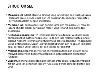 STRUKTUR SEL
 Membran sel, adalah struktur dinding yang sangat tipis dan elastis disusun
oleh 62% protein, 35% lemak dan 3% polisakarida, berfungsi membatasi
permukaan dalam dengan sitoplasma
 Membran inti, bahan penyususn hampir sama dgn membran sel, memiliki
lubang shg dpt terjadi pertukaran materi yang terlarut dalam inti dgn
sitoplasma
• Retikulum endoplasma  terdiri dari jaring/jala tubuler vesikuler berisi
cairan daisebut matrix endoplasmic. Pada bgn luar melekat suatu granular
disebut ribosom (re granular) untuk sintesa protein dan halus (re agranular)
untuk sintesa lemak. Organ lain yang berhubungan dgn re adalah kompleks
golgi berperan untuk sekresi sel dan sintesa karbohidrat
• Mitokondria, berperan menyaring energi dari nutrien dan oksigen serta
menyediakan energi bagi semua bagian sel untuk dapat melaksanakan
fungsi sel
• Lisosom, menghasilkan sistem pencernaan intra seluler untuk membuang
zat-zat yang tdk diinginkan lagi krn rusak atau benda asing spt bakteri dan
virus
 