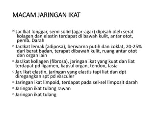 MACAM JARINGAN IKAT
 Jar.Ikat longgar, semi solid (agar-agar) dipisah oleh serat
kolagen dan elastin terdapat di bawah kulit, antar otot,
pemb. Darah
 Jar.Ikat lemak (adiposa), berwarna putih dan coklat, 20-25%
dari berat badan, terapat dibawah kulit, ruang antar otot
dan organ lain
 Jar.Ikat kollagen (fibrosa), jaringan ikat yang kuat dan liat
terdapat pd ligamen, kapsul organ, tendon, fasia
 Jar. Ikat elastin, jaringan yang elastis tapi liat dan dpt
diregangkan spt pd vasculer
 Jaringan ikat limpoid, terdapat pada sel-sel limposit darah
 Jaringan ikat tulang rawan
 Jaringan ikat tulang
 