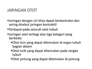 JARINGAN OTOT
Jaringan dengan ciri khas dapat berkontraksi dan
sering disebut jaringan kontraktil
Terdapat pada seluruh otot tubuh
Jaringan otot terbagi atas tiga kategori yang
berbeda:
Otot licin yang dapat ditemukan di organ tubuh
bagian dalam
Otot lurik yang dapat ditemukan pada rangka
tubuh
Otot jantung yang dapat ditemukan di jantung
 