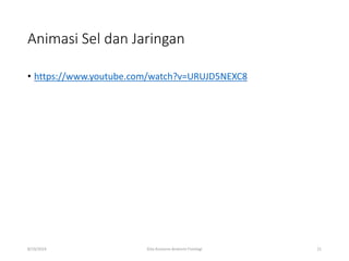 Animasi Sel dan Jaringan
• https://www.youtube.com/watch?v=URUJD5NEXC8
8/19/2019 Gita Kostania-Anatomi Fisiologi 21
 