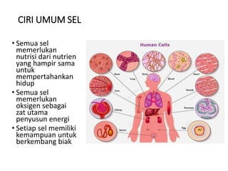 CIRI UMUM SEL
• Semua sel
memerlukan
nutrisi dari nutrien
yang hampir sama
untuk
mempertahankan
hidup
• Semua sel
memerlukan
oksigen sebagai
zat utama
penyusun energi
• Setiap sel memiliki
kemampuan untuk
berkembang biak
 