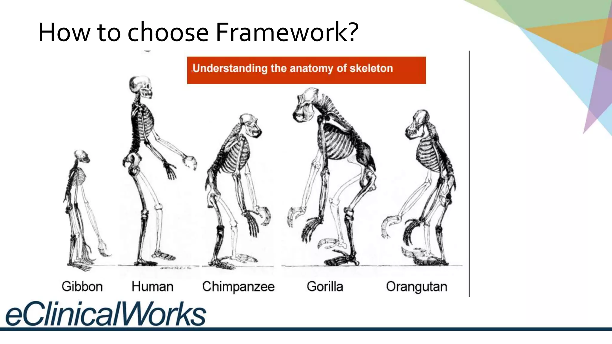 How to choose Framework?
 