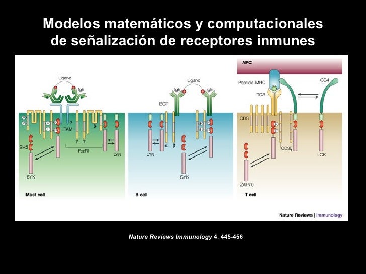 Site Nature Com Adhesion Receptors Site Nature Com Adhesion Receptors
