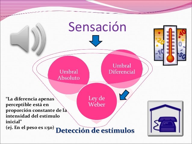 Resultado de imagen para sensaciones psicologia