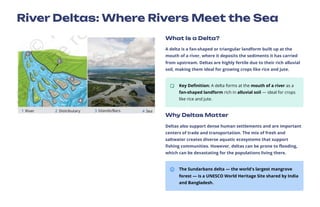 River Deltas: Where Rivers Meet the Sea
What Is a Delta?
A delta is a fan-shaped or triangular landform built up at the
mouth of a river, where it deposits the sediments it has carried
from upstream. Deltas are highly fertile due to their rich alluvial
soil, making them ideal for growing crops like rice and jute.
Key Definition: A delta forms at the mouth of a river as a
fan-shaped landform rich in alluvial soil — ideal for crops
like rice and jute.
Why Deltas Matter
Deltas also support dense human settlements and are important
centers of trade and transportation. The mix of fresh and
saltwater creates diverse aquatic ecosystems that support
fishing communities. However, deltas can be prone to flooding,
which can be devastating for the populations living there.
The Sundarbans delta — the world's largest mangrove
forest — is a UNESCO World Heritage Site shared by India
and Bangladesh.
 