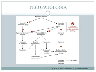 FISIOPATOLOGIA
[DNLM: 1. Shock, Cardiogenic.WG 300 C267471 2009]
 
