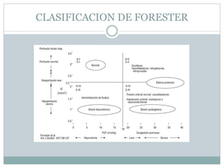 CLASIFICACION DE FORESTER
 