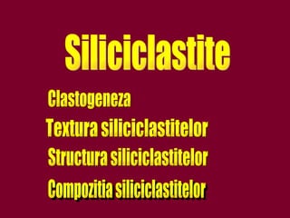 Siliciclastite Compozitia siliciclastitelor Clastogeneza Textura siliciclastitelor Structura siliciclastitelor 