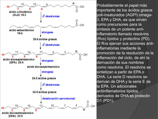 sintesis acidosgrasos | PDF