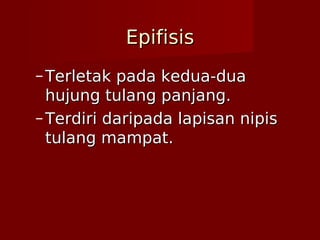 EpifisisEpifisis
– Terletak pada kedua-duaTerletak pada kedua-dua
hujung tulang panjang.hujung tulang panjang.
– Terdiri daripada lapisan nipisTerdiri daripada lapisan nipis
tulang mampat.tulang mampat.
 