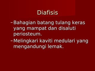 DiafisisDiafisis
– Bahagian batang tulang kerasBahagian batang tulang keras
yang mampat dan disalutiyang mampat dan disaluti
periosteum.periosteum.
– Melingkari kaviti medulari yangMelingkari kaviti medulari yang
mengandungi lemak.mengandungi lemak.
 