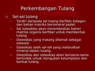 Perkembangan TulangPerkembangan Tulang
i)i) Sel-sel tulangSel-sel tulang
– Terdiri daripada sel tulang berfiber kolagenTerdiri daripada sel tulang berfiber kolagen
dan bahan matriks bermineral padat.dan bahan matriks bermineral padat.
– Sel osteoblas akan merembeskan bahanSel osteoblas akan merembeskan bahan
matriks organik berfiber untuk membentukmatriks organik berfiber untuk membentuk
tulang.tulang.
– Osteoblas yang matang dikenali sebagaiOsteoblas yang matang dikenali sebagai
osteosit.osteosit.
– Osteoklas ialah sel-sel yang melarutkanOsteoklas ialah sel-sel yang melarutkan
mineral dalam tulang.mineral dalam tulang.
– Osteoblas dan osteoklas akan bersama-samaOsteoblas dan osteoklas akan bersama-sama
bertindak untuk mengubah ketumpatan danbertindak untuk mengubah ketumpatan dan
bentuk tulang.bentuk tulang.
 
