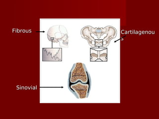 FibrousFibrous CartilagenouCartilagenou
ss
SinovialSinovial
 