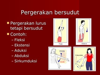 Pergerakan bersudutPergerakan bersudut
 Pergerakan lurusPergerakan lurus
tetapi bersuduttetapi bersudut
 Contoh:Contoh:
– FleksiFleksi
– EkstensiEkstensi
– AduksiAduksi
– AbduksiAbduksi
– SirkumduksiSirkumduksi
 