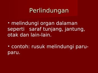 PerlindunganPerlindungan
• melindungi organ dalaman
seperti saraf tunjang, jantung,
otak dan lain-lain.
• contoh: rusuk melindungi paru-
paru.
 