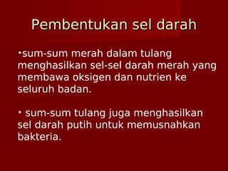 Pembentukan sel darahPembentukan sel darah
•sum-sum merah dalam tulang
menghasilkan sel-sel darah merah yang
membawa oksigen dan nutrien ke
seluruh badan.
• sum-sum tulang juga menghasilkan
sel darah putih untuk memusnahkan
bakteria.
 