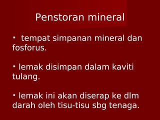 Penstoran mineral
• tempat simpanan mineral dan
fosforus.
• lemak disimpan dalam kaviti
tulang.
• lemak ini akan diserap ke dlm
darah oleh tisu-tisu sbg tenaga.
 