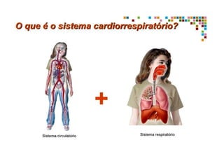 2 sistema cardio vascular